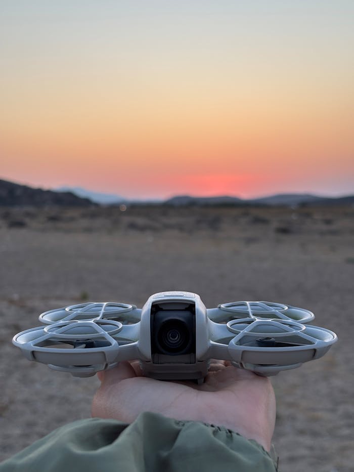 pexels photo 34005145.jpeg